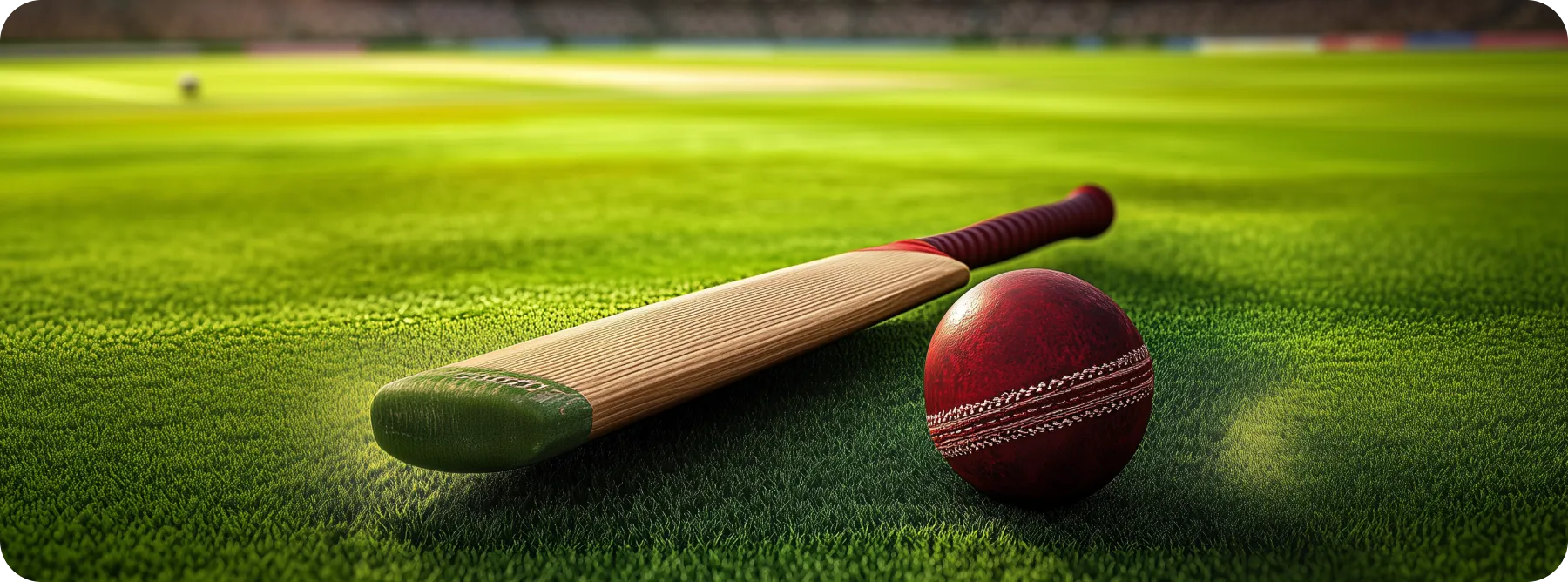 cricket items